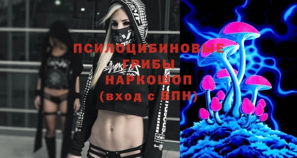 apvp Верхний Тагил